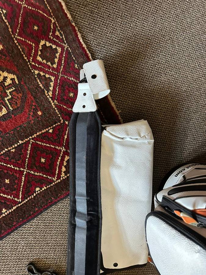 PING G10 DLX CART BAG-PRO CIRCUIT-THIS BAG IS IN VERY GOOD CONDITION,WITH ALL ZIPS WORKING-COMES WIT
