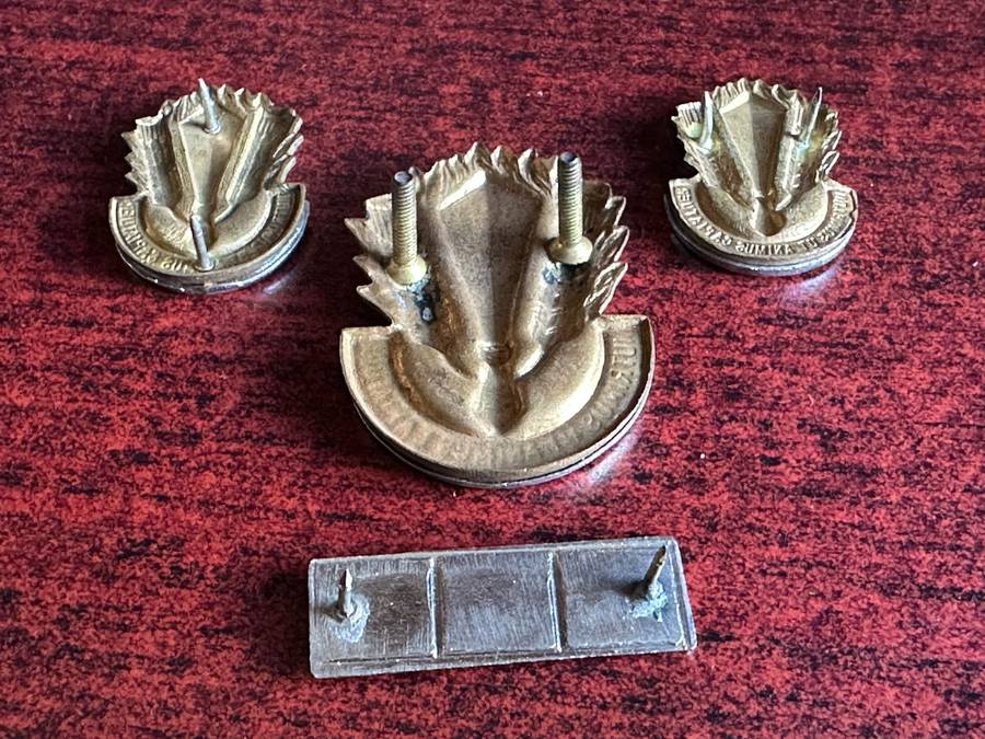 SA CATERING CORPS BI/METAL CAP,COLLARS AND BERET BAR-APPROVED IN 1978-LUGS + PINS COMPLETE