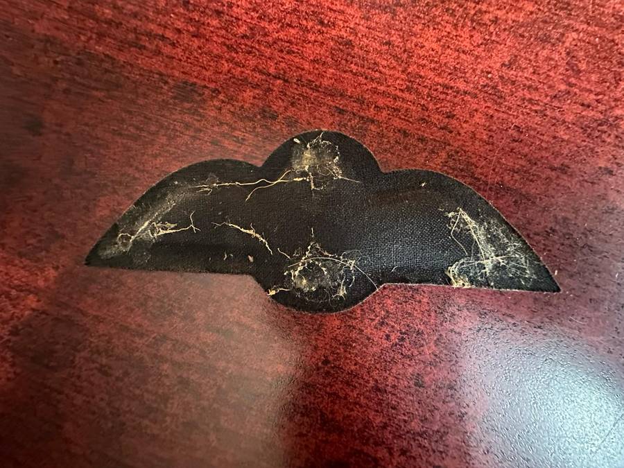 BRITISH PILOTS BREVET-WORN 1918-1950'S-PADDED-ORIGINAL