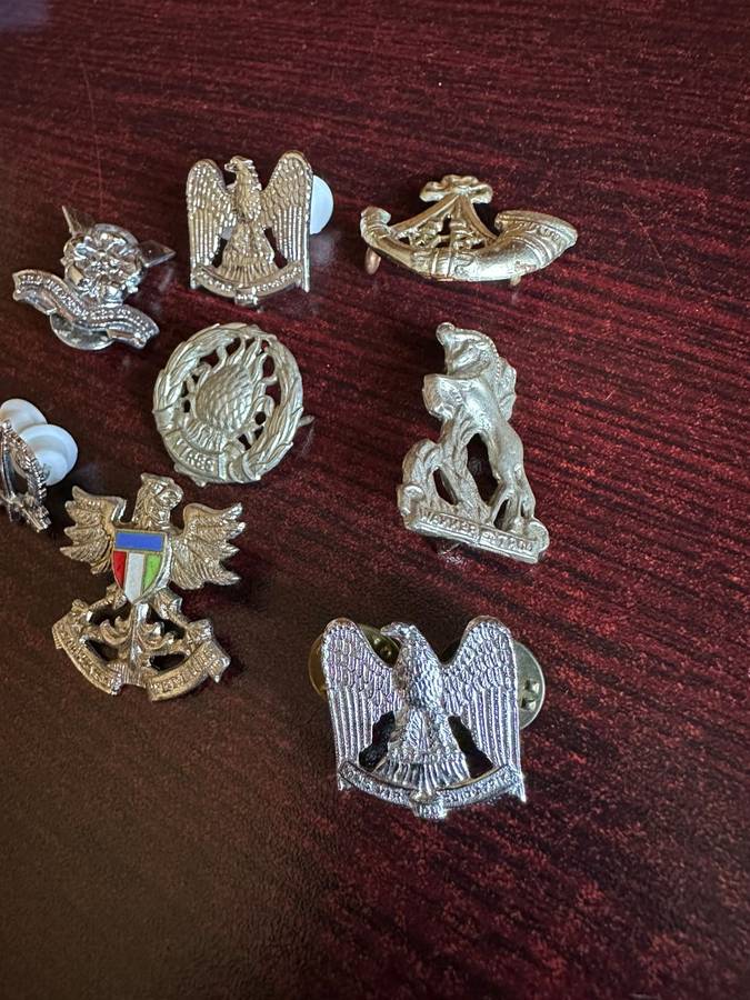 SELECTION OF CHROME COLLAR BADGES- 8 IN TOTAL-SOLD TOGETHER-PINS COMPLETE