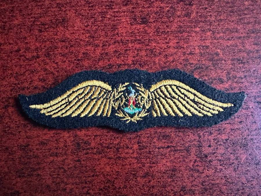 SAAF Commando pilots wing.