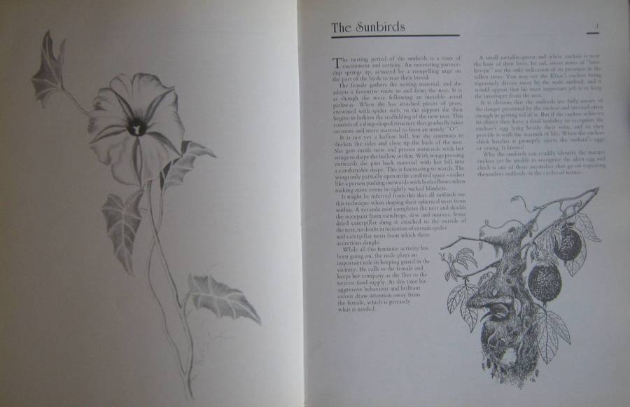 Jeff Huntlys African Wildlife Sketches Jeff Huntly