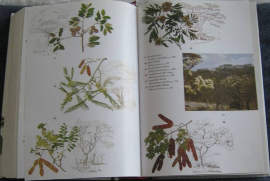 Trees of Southern Africa New Edition Revised and Updated