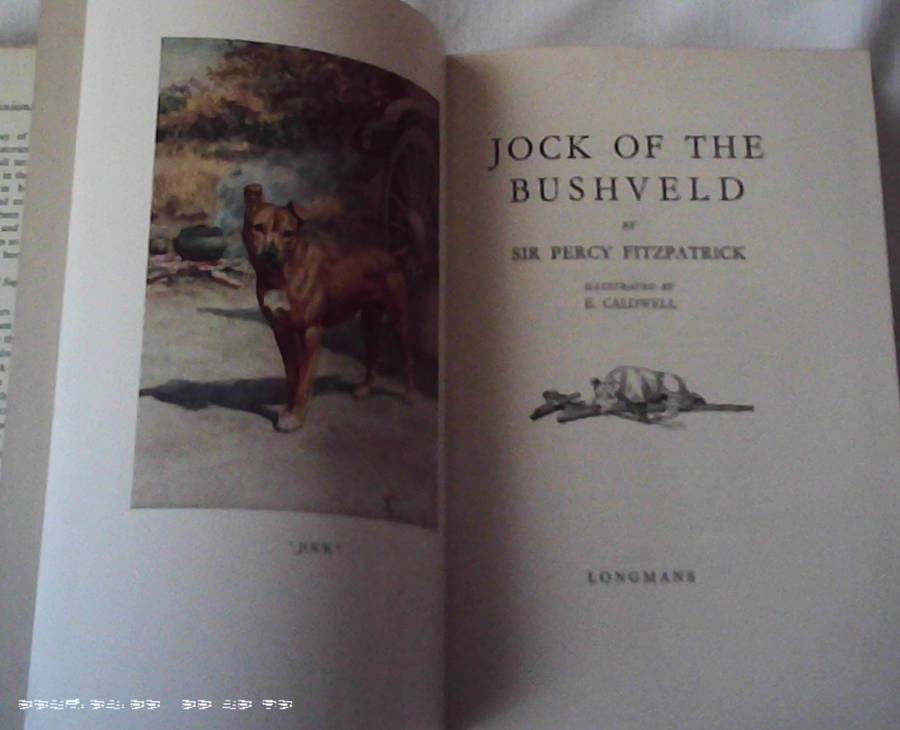 Jock of The Bushveld Sir Percy Fitz Patrick