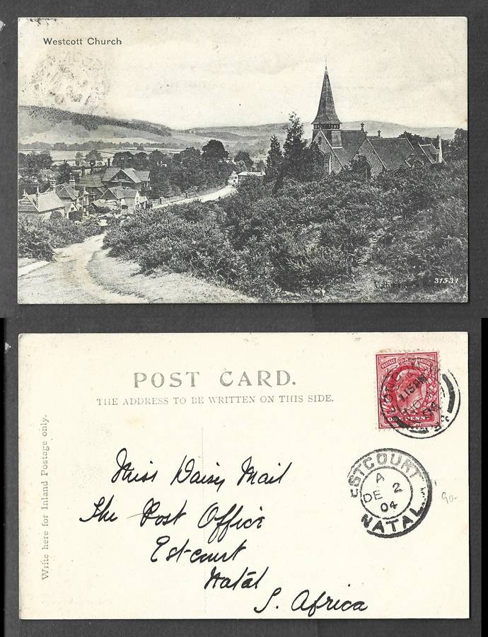 England, post card, Westcott Church,  LONDON. W -34 - NO 11 04  c.d.s. > ESTCOURT NATAL