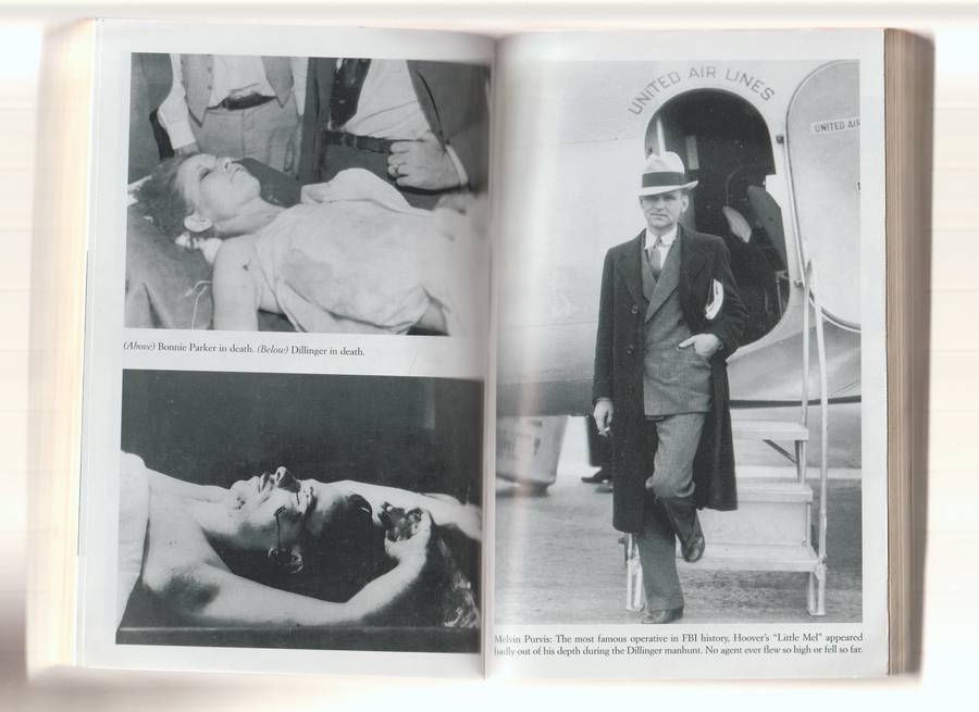 Public Enemies By Bryan Burrough book true crime FBI history biography American