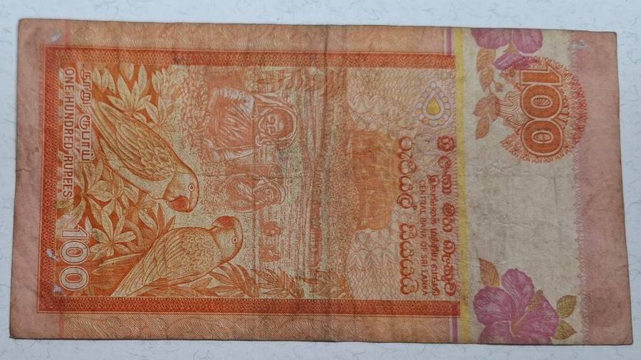 2004 - Sri Lanka - 100 Rupees - Signature :  SLB Amunugama - Demonetised No - J357 169293