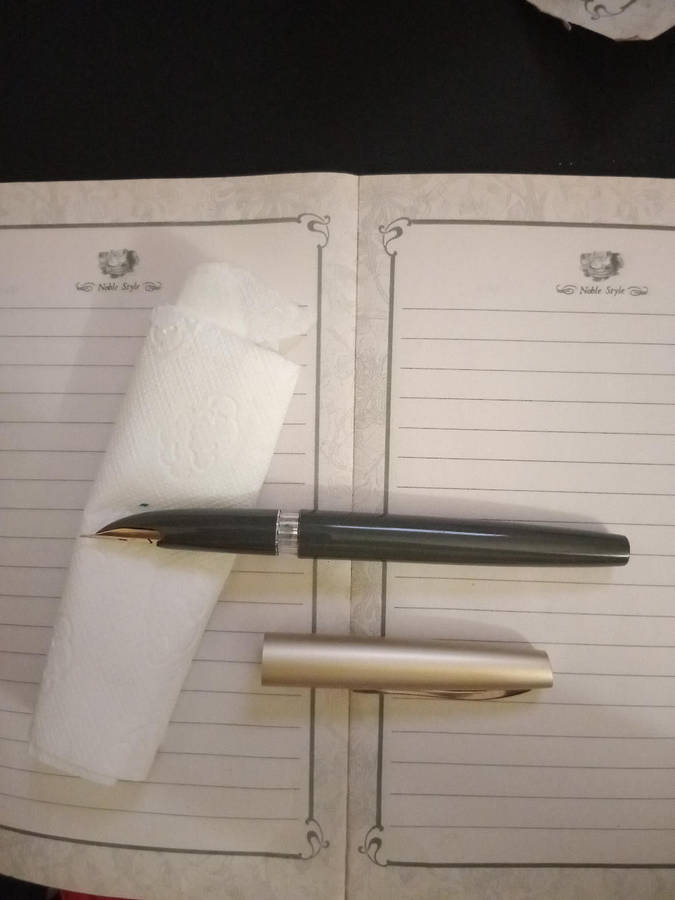 Fountain Pen. Hifra Vintage Grey 4403.