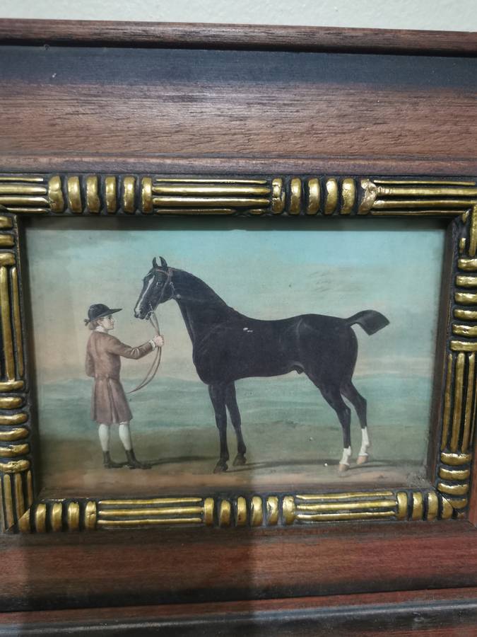 Beautiful Vintage Wood and Glass Framed Horse Portraits 22cmx27cm