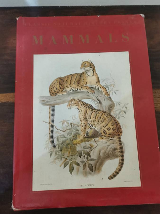 Amazing Selection of Animal and Nature Books