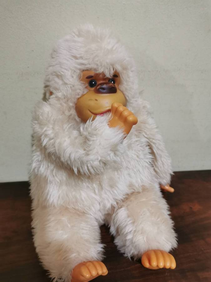 Conga Doll 26cm Tall - Lovely Vintage Collectable