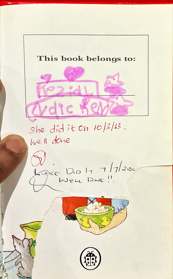 Ladybird Tales (12 Books)