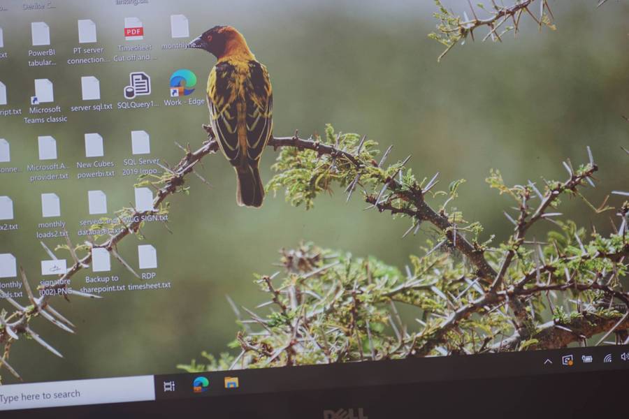 4K Touchscreen Dell Precision 5520 Core i7 7820HQ, 32GB RAM, 512GB NVMe, 4GB NVidia Quadro M1200.