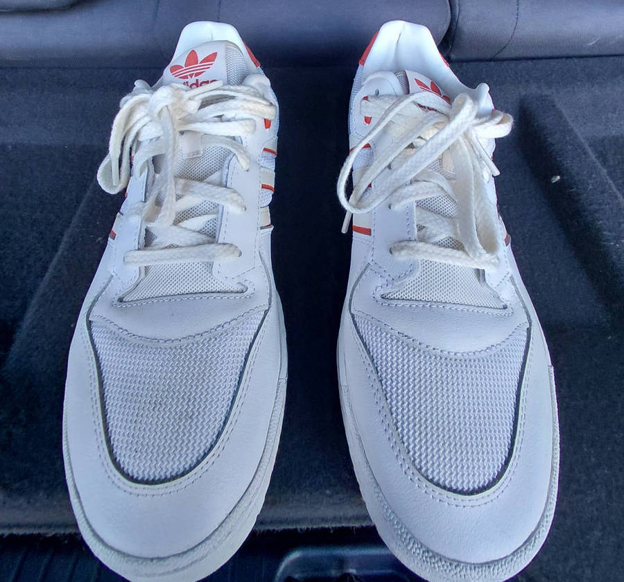 Adidas Sneakers