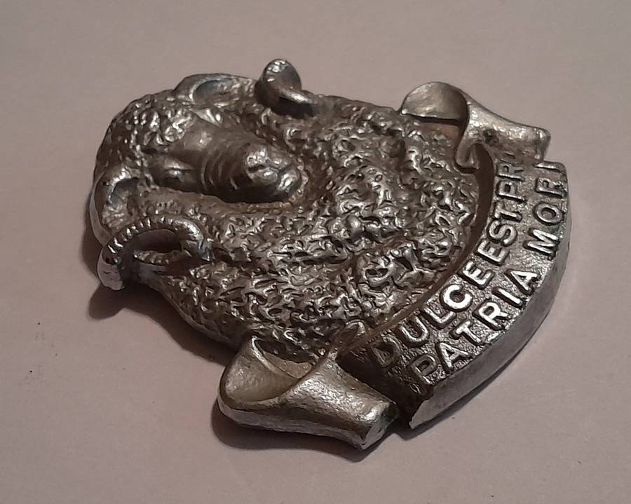 Regiment Groot Karoo Chromed Cap Badge.  No Lugs.
