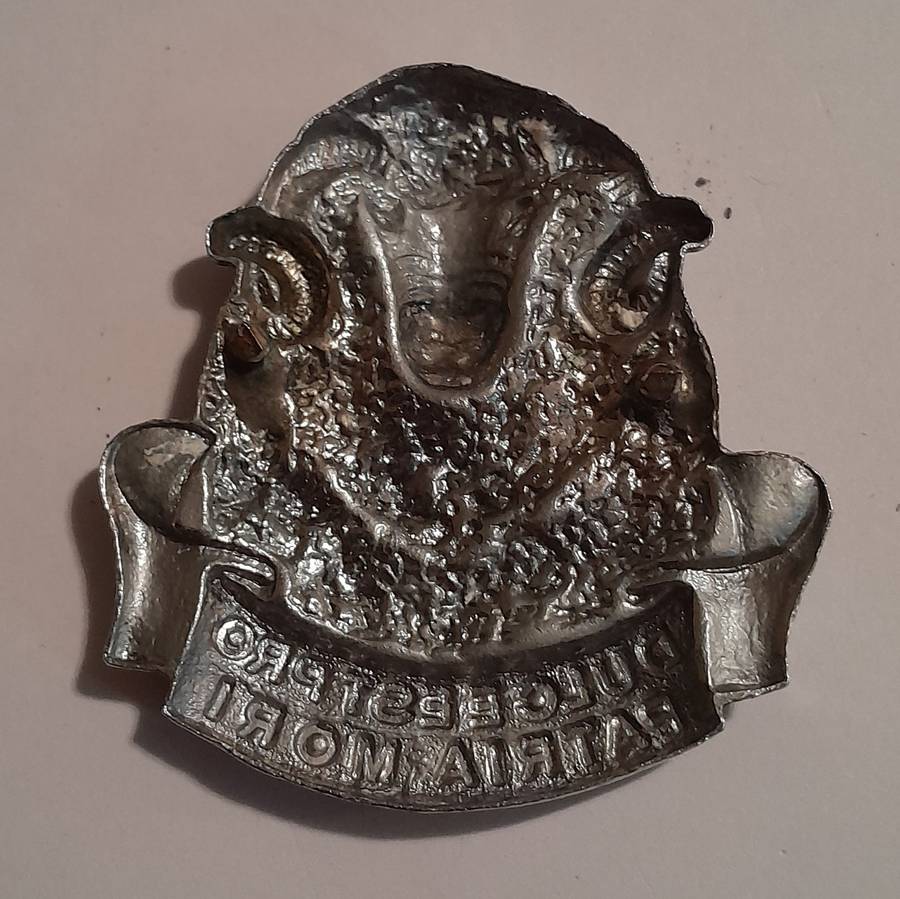 Regiment Groot Karoo Chromed Cap Badge.  No Lugs.