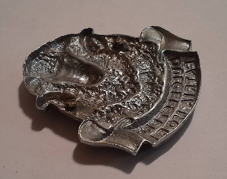 Regiment Groot Karoo Chromed Cap Badge.  No Lugs.