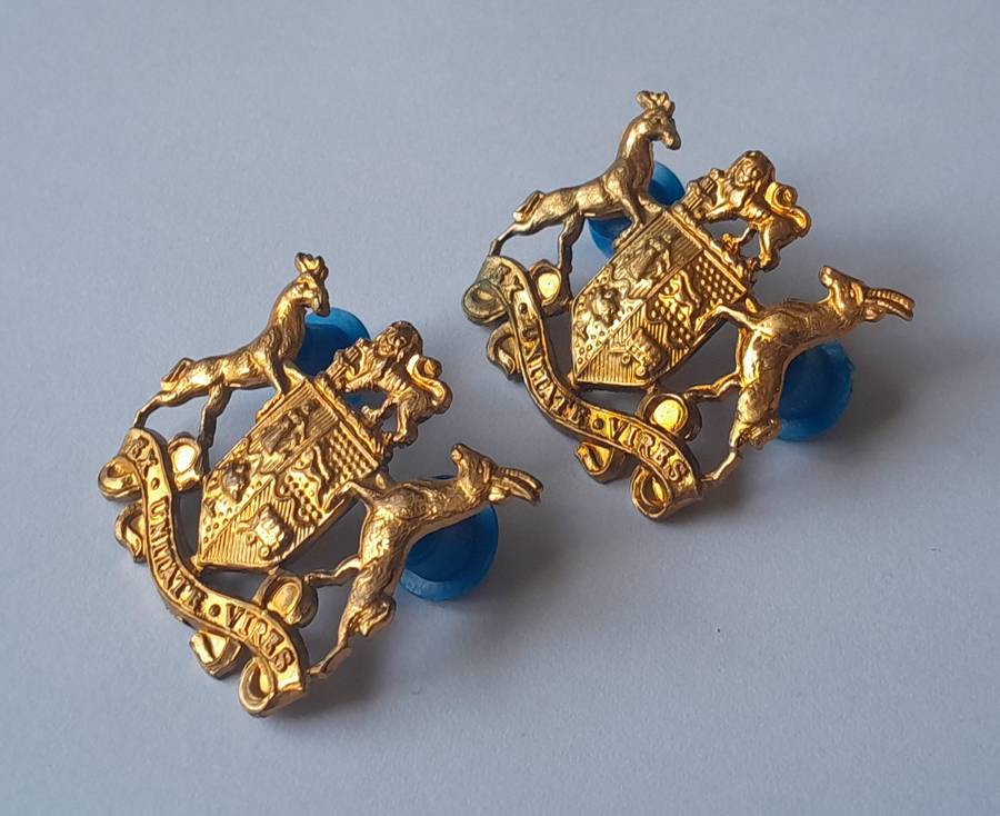 Pair SADF Sergeant Major Class 2 Gilt Badges. All Pins Intact.