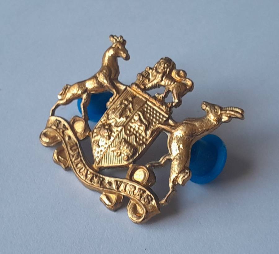 SADF Sergeant Major Class 2 Gilt Badge. All Pins Intact.
