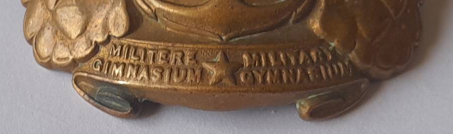 Early SADF Military Gymnasium Cap Badge.  Lugs Intact.