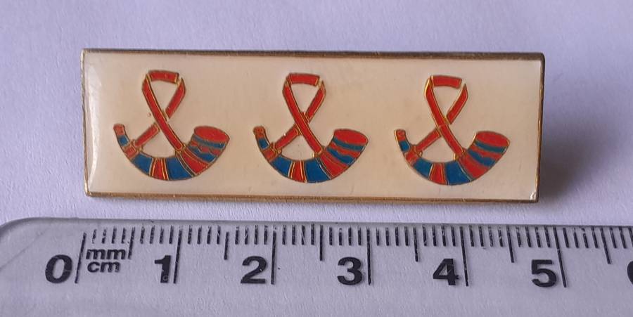 SADF Orange Free State Command Beret Bar. Pins Intact.