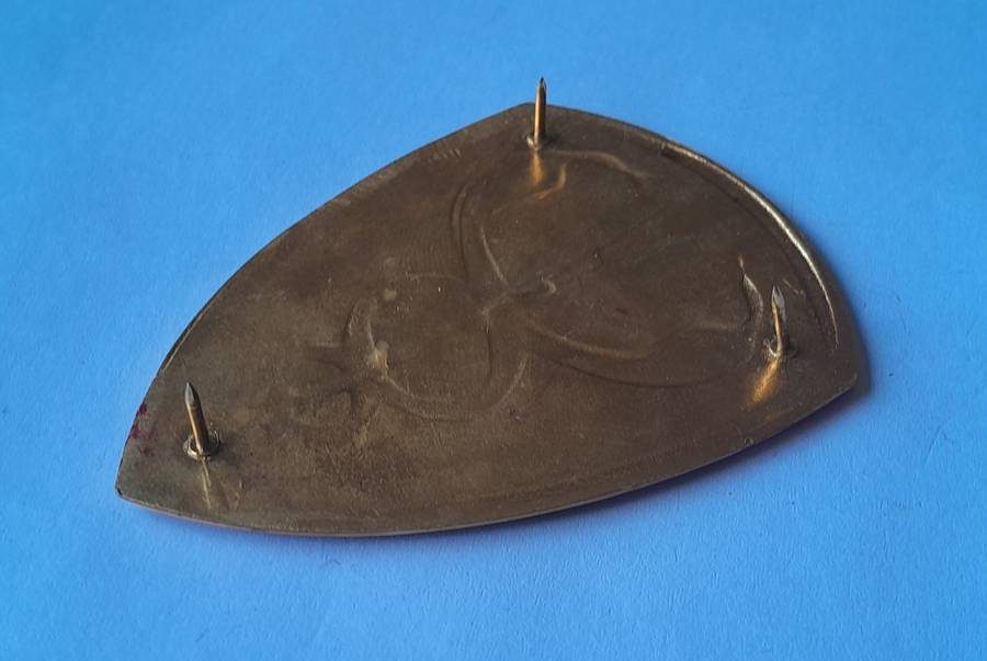 SADF 3 Military Hospital Shoulder Flash.  All Pins Intact.