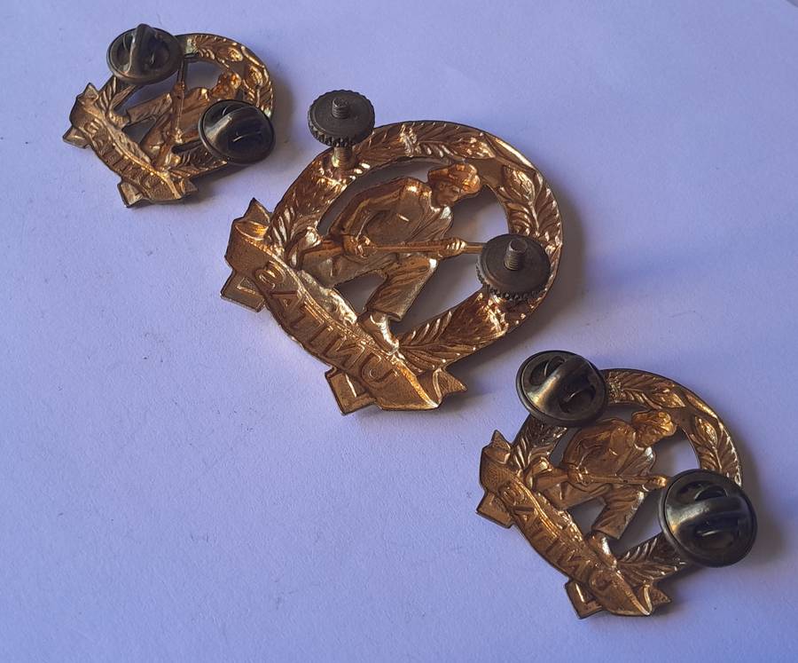 SA Army Commando Badge Set.  Cap & Collars (Facing).  Screw Lugs Intact.