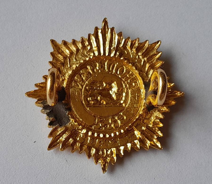 Rhodesian Army Services Badge.  Lugs Intact.