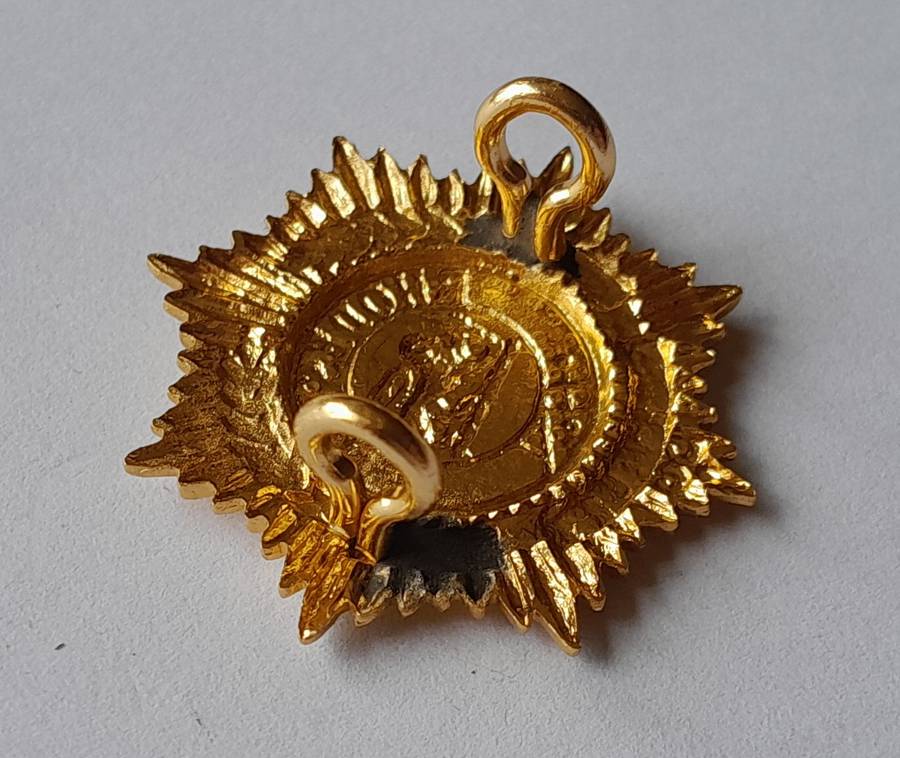 Rhodesian Army Services Badge.  Lugs Intact.