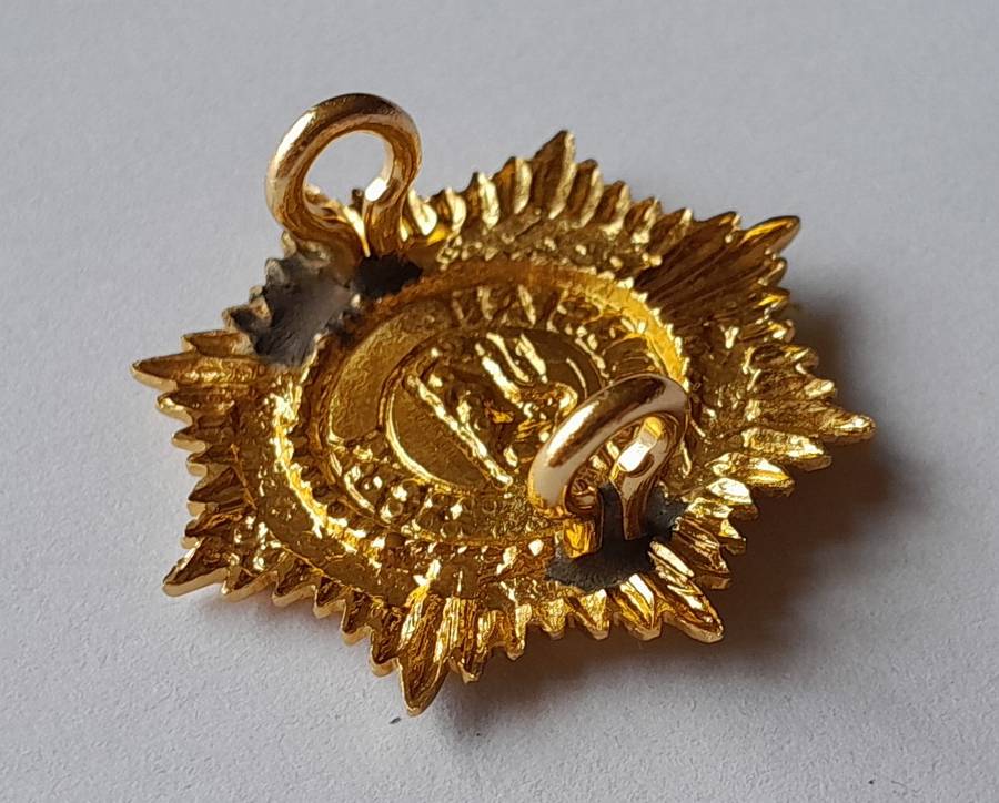 Rhodesian Army Services Badge.  Lugs Intact.