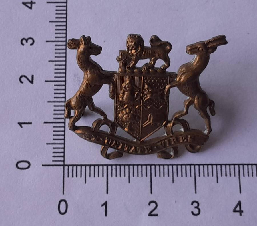 SADF Warrant Office Rank Badge.  Compressed Lugs.