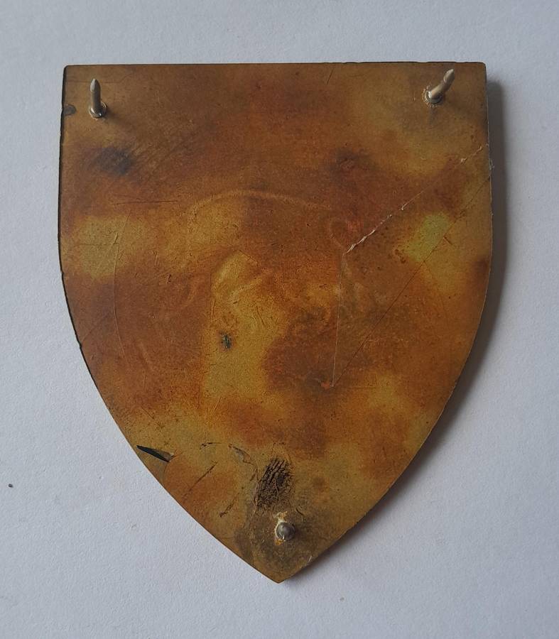 SADF South Coast Commando Shoulder Flash.  All Pins Intact.