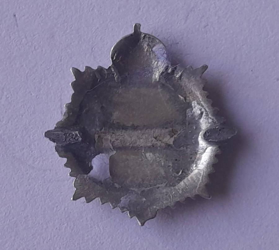 WW2 SA Service Corps SASC/ SAI Sweetheart Badge.  Enameled.  No Clasp.