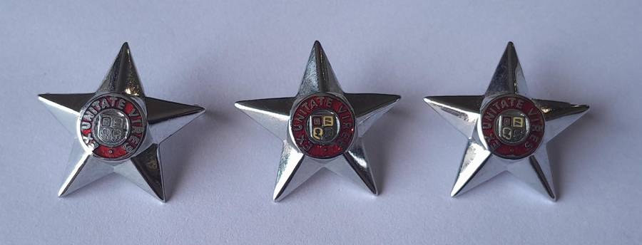 Set of 3 SADF Officers Rank Pips.  Pins Intact.