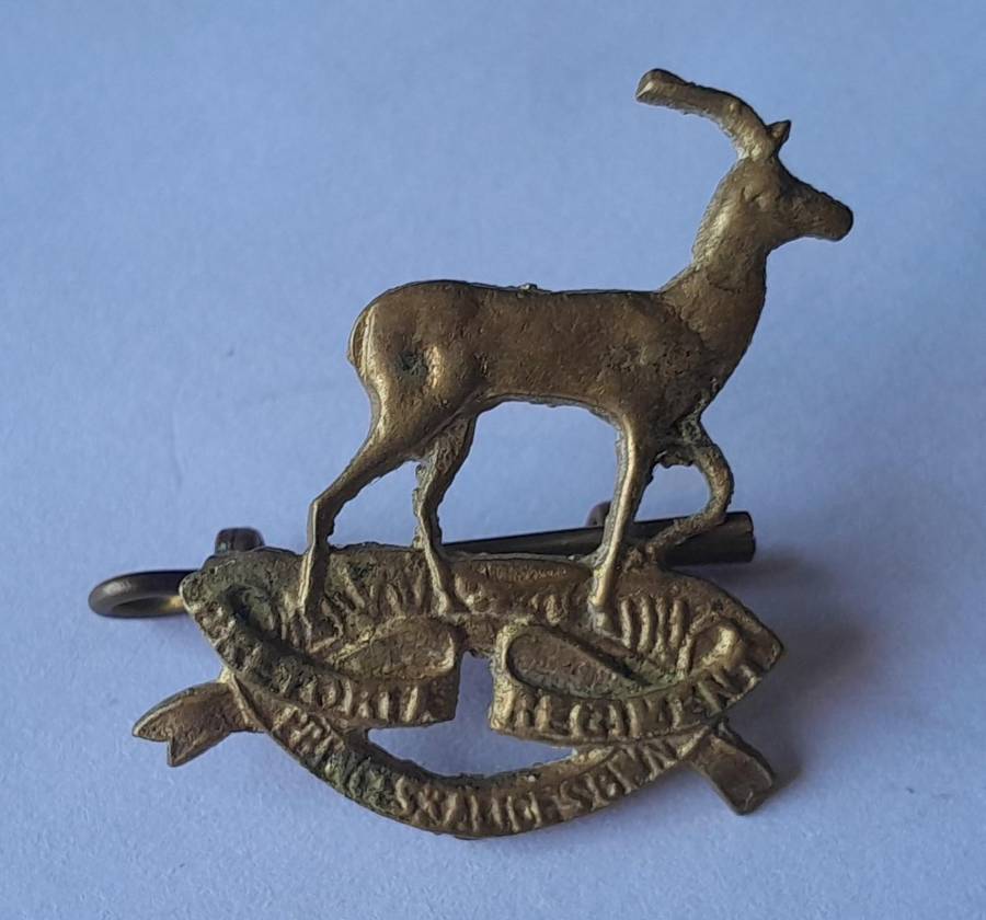 Pair SADF Pretoria Regiment (Princess Alice's Own) Collar Badges.  Lugs Intact.