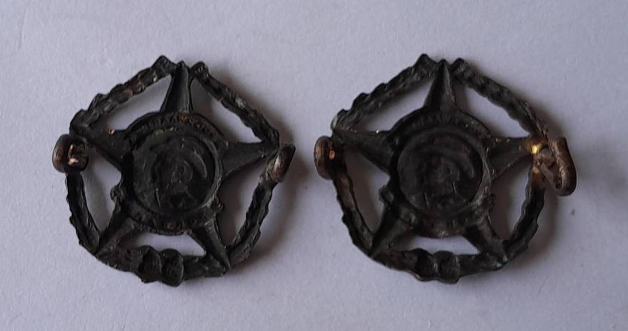 Pair SA Army Regiment Botha Collar Badges.  Lugs Intact.