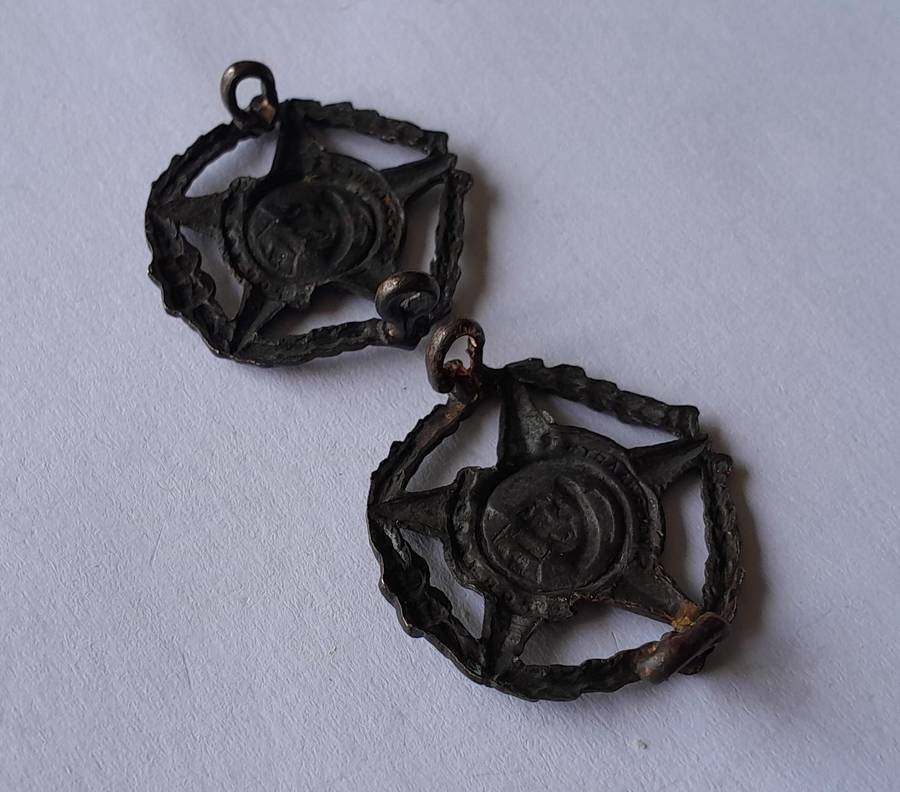 Pair SA Army Regiment Botha Collar Badges.  Lugs Intact.