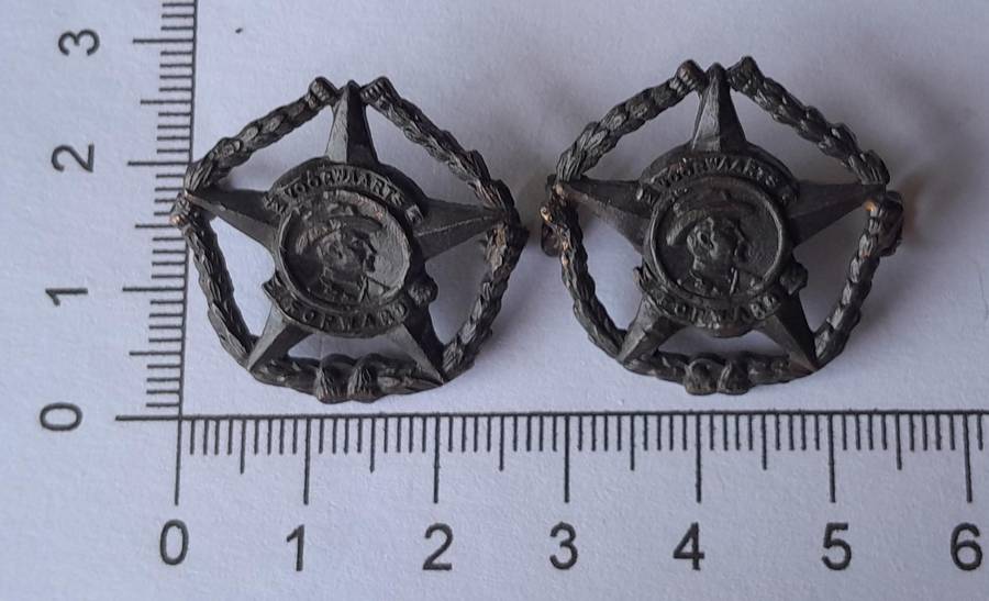 Pair SA Army Regiment Botha Collar Badges.  Lugs Intact.
