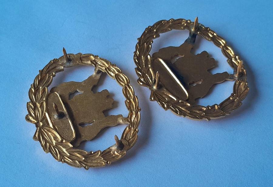 Pair SA Police Warrant Officer Badges.  Gilt & Enamel.  Pins Intact.
