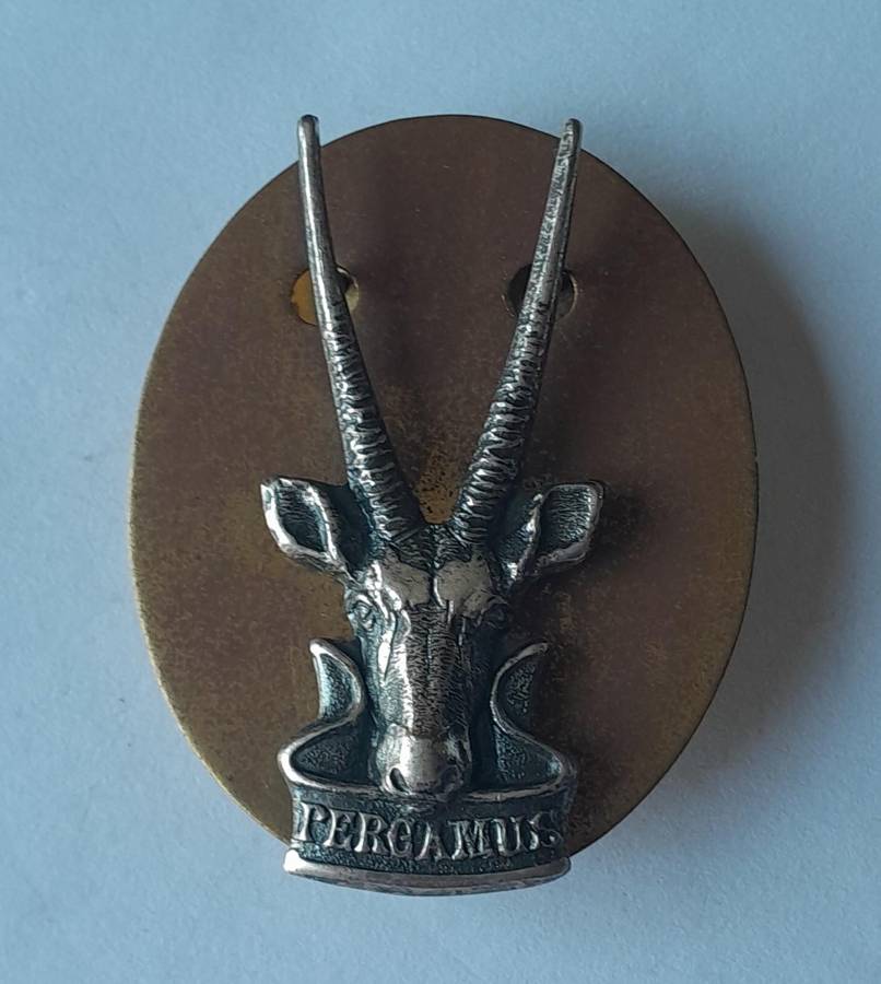 South West African Territorial Force (SWATF) Cap Badge With Back Plate.