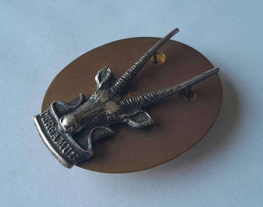 South West African Territorial Force (SWATF) Cap Badge With Back Plate.