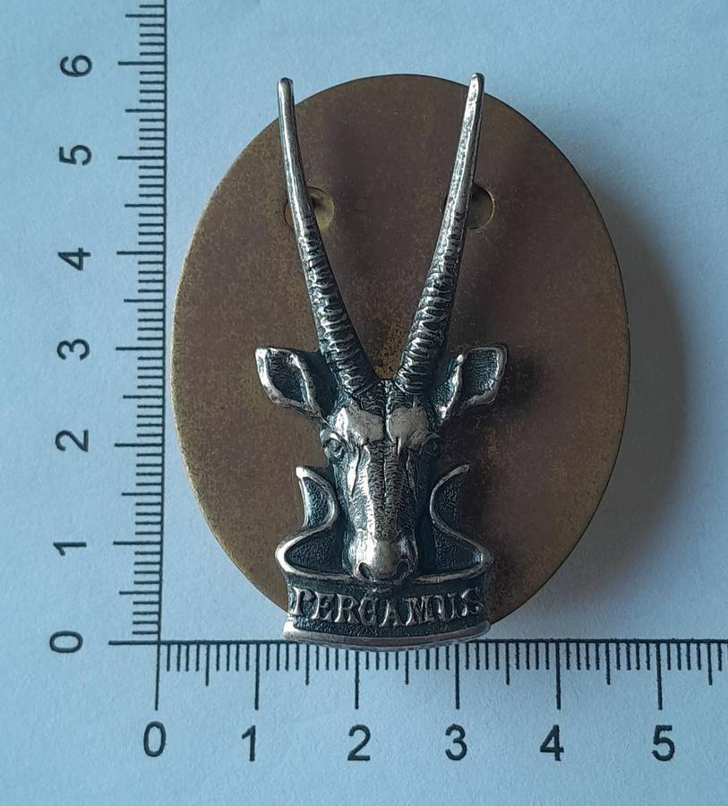 South West African Territorial Force (SWATF) Cap Badge With Back Plate.