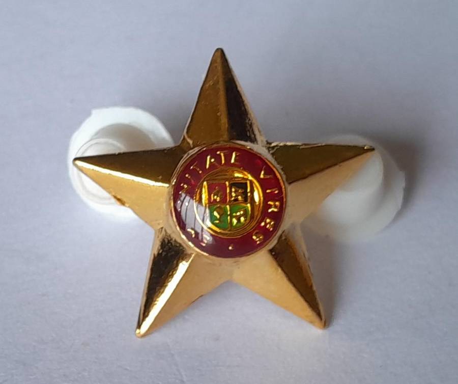 Set of 8 SADF 5 Point Rank Pips.  Pins Intact.
