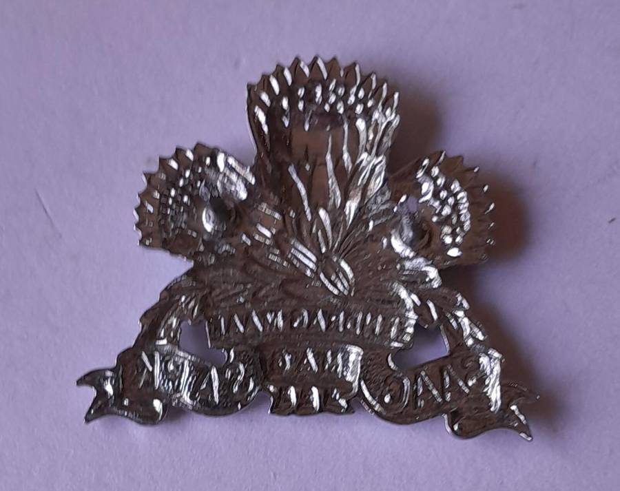 SADF Armoured Corps Badge.  Pins Intact.