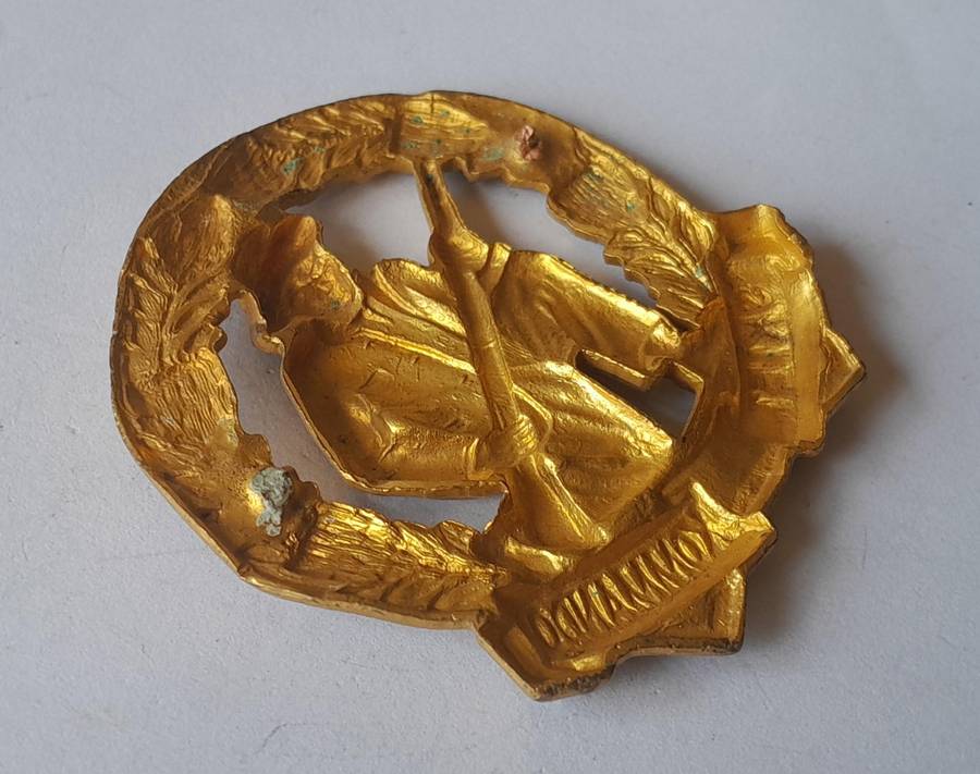 SADF Skiet Kommando Cap Badge.  No Lugs.