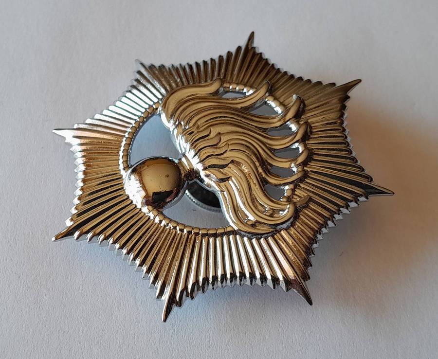 Vintage Dutch Police Officer's Chromed Metal Cap Badge. Screw Lug Intact.