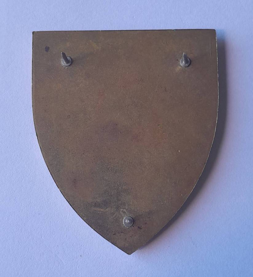 SADF 1 Infantry Battalion Shoulder Flash.  1st Type.  All Pins Intact.