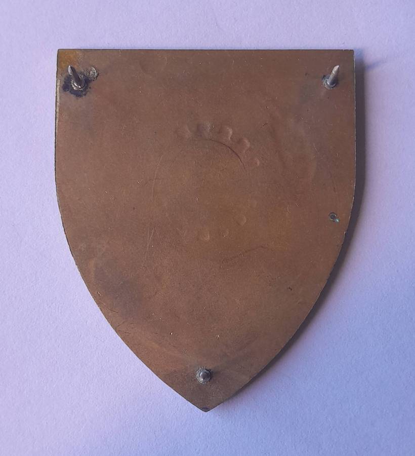 SADF 8 Maintenance Unit Shoulder Flash.  All Pins Intact.