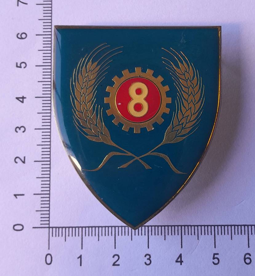 SADF 8 Maintenance Unit Shoulder Flash.  All Pins Intact.