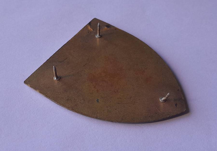 SADF Chief of Staff Logistics Shoulder Flash.  All Pins Intact.